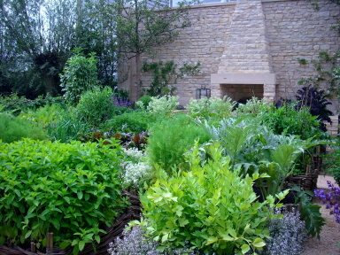 Chelsea Flower Show